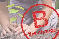 Savvy Rest B Corporation