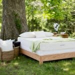 Serenity organic latex mattress from Savvy Rest
